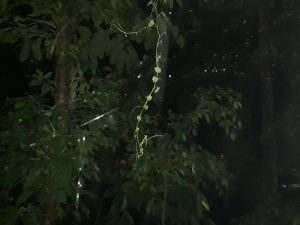 Aku dan Laki-laki Asing