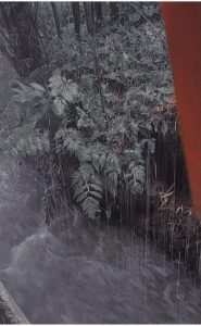 Bahaya Lisan Sesuai Sabda Rasulullah