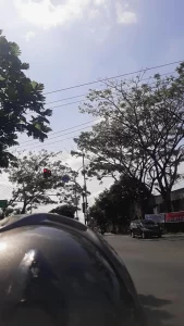 Mencoba Sembuh