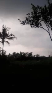 Adab Terhadap Hewan