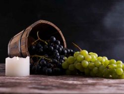 Anggur Hijau vs Hitam, Mana yang Paling Laris & Menguntungkan?