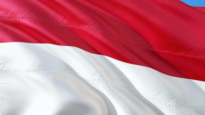 Semangat Harkitnas 2025 - Refleksi 117 Tahun Perjuangan Bangsa