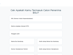 BSU 2025! Verifikasi BPJS Ketenagakerjaan Segera cair