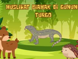 Muslihat Biawak di Bukit Turgo