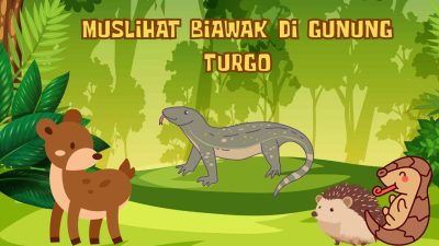 Muslihat Biawak di Bukit Turgo