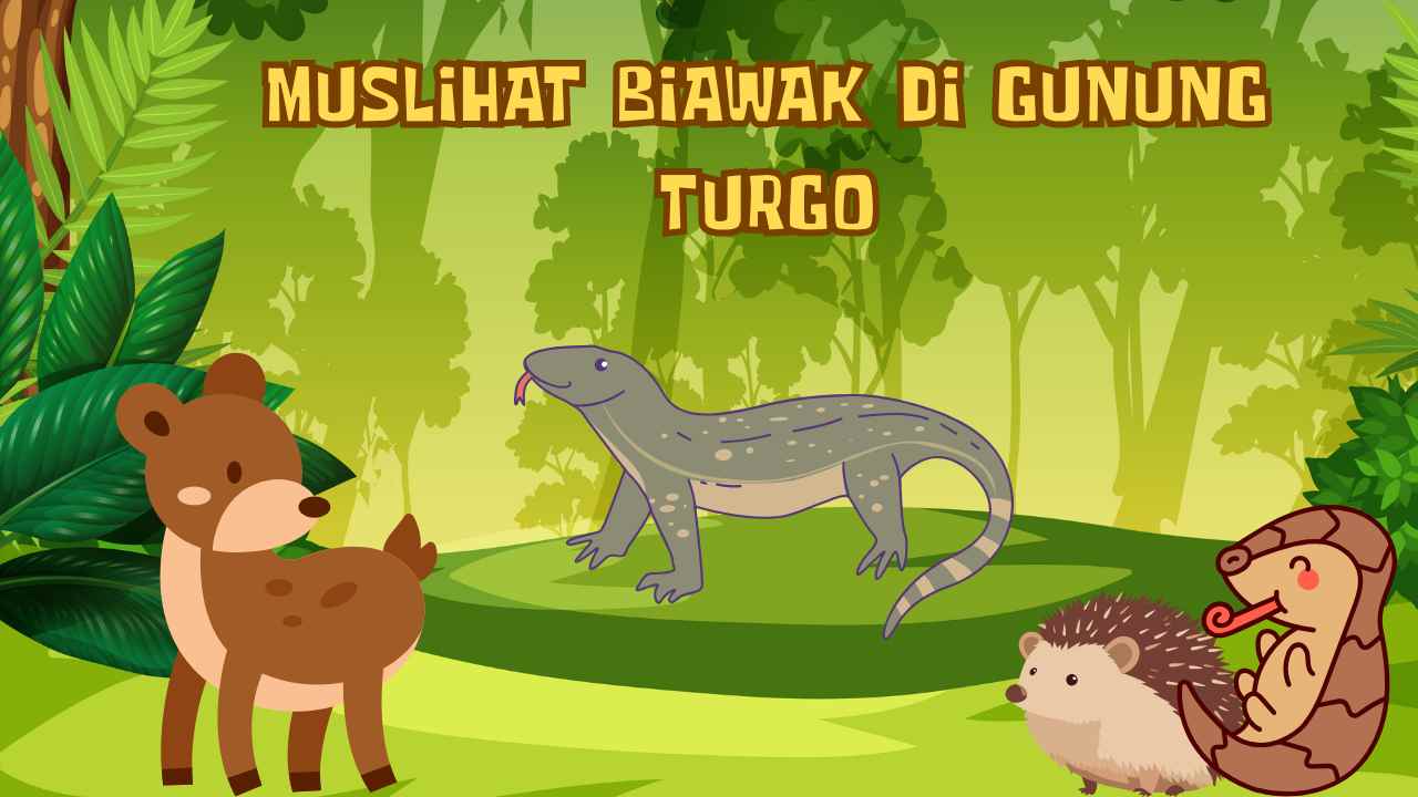 Muslihat Biawak di Bukit Turgo