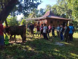 Pp Sabilulhuda Gelar Kurban Idul Adha 2025