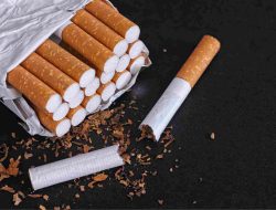 Perokok Beralih ke Rokok Murah! Keuangan Negara Mulai Terpengaruh