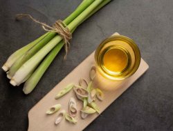 7 Manfaat Batang Dan Daun Serai Bagi Kesehatan