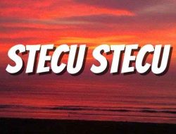 Lirik Lagu Stecu Stecu Ini Bikin Senyum Sendiri Kok Bisa?