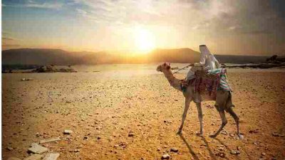 Abdurrahman Bin Auf: Pedagang Dermawan Yang Dijamin Surga