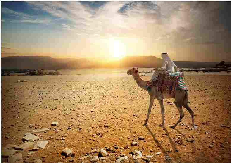 Abdurrahman Bin Auf: Pedagang Dermawan Yang Dijamin Surga