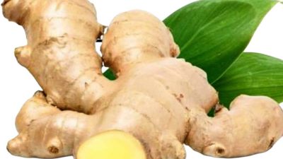 Manfaat Andong-andong: Rimpang Liar Untuk Kesehatan