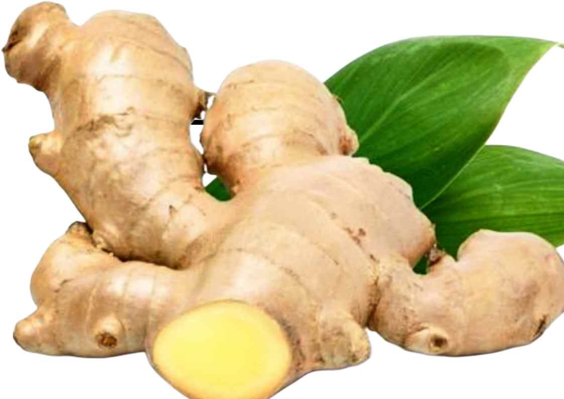 Manfaat Andong-andong: Rimpang Liar Untuk Kesehatan