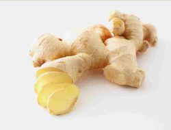 Jarang Diketahui! Temu Mangga Ternyata Punya Banyak Manfaat