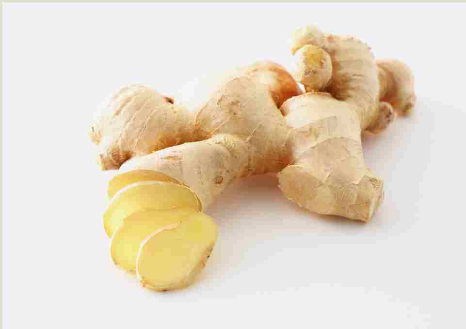 Mengenal Temu Mangga: Kandungan Dan Manfaatnya