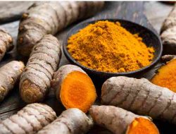 Kunyit (Curcuma longa)