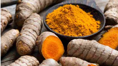 Kunyit (Curcuma longa)