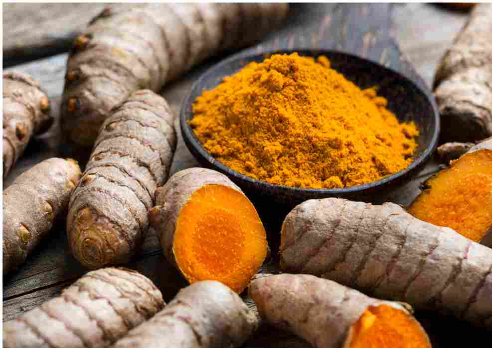 Kunyit (Curcuma longa)