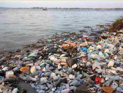 Dampak Sampah Plastik Pada Ekosistem Laut Dan Solusi Berkelanjutan