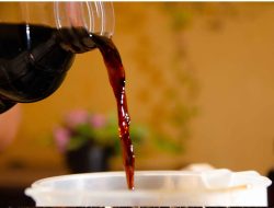 Cara Membuat Dan Mengaplikasikan Pupuk Organik Air Lindi Untuk Tanaman Anggur