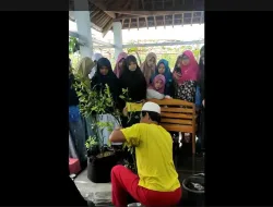 Budidaya Tanaman Jeruk Dengan Teknik Cangkok Di PP/PA Sabilulhuda