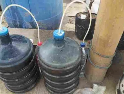 Cara Membuat NPK Cair Organik Dari Bahan Alami