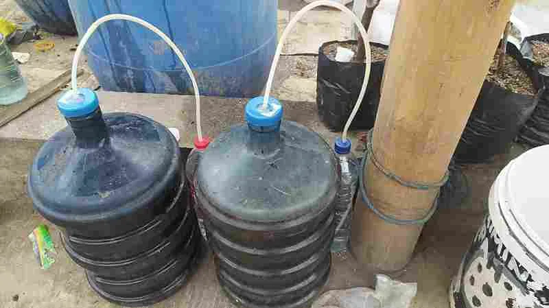 Cara Membuat NPK Cair Organik Dari Bahan Alami