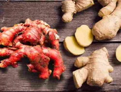 Rempah Pedas Jahe Merah (Zingiber Officinale var. Rubrum)