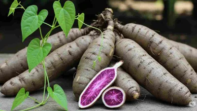 Uwi (Dioscorea Alata) Pangan Lokal Yang Kaya Manfaat