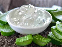 8 Manfaat Lidah Buaya untuk Kesehatan: Terbukti Secara Ilmiah