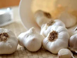 9 Manfaat Bawang Putih Mentah Untuk Kesehatan
