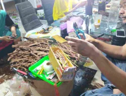 Cara Grafting Anggur Yang Mudah Dan Simpel Untuk Pemula