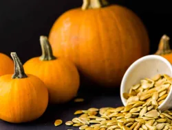 Manfaat Biji Labu Kuning Untuk Kesehatan Dan Cara Mengolah