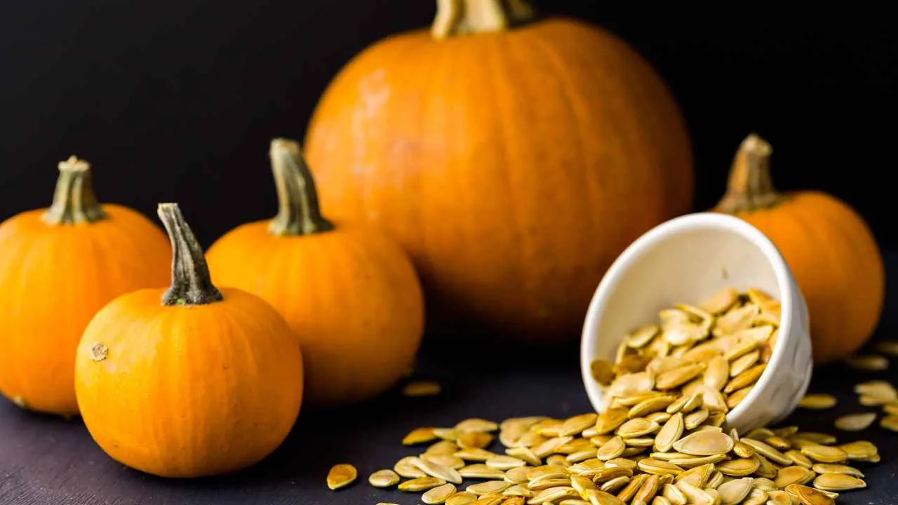 Biji labu kuning tumpah dari wadah dengan latar belakang buah labu segar