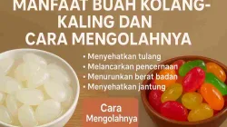 Foto kolang-kaling segar berwarna putih transparan dalam mangkuk putih dan kolang-kaling manisan warna-warni dalam mangkuk tanah liat dengan tulisan manfaatnya.