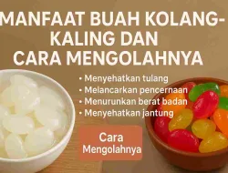 Manfaat Buah Kolang-kaling Dan Cara mengolahnya