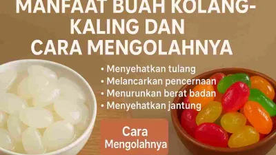 Foto kolang-kaling segar berwarna putih transparan dalam mangkuk putih dan kolang-kaling manisan warna-warni dalam mangkuk tanah liat dengan tulisan manfaatnya.