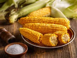 Manfaat Dan Bahaya Jagung Bagi Kesehatan Tubuh