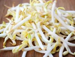 Manfaat Toge Bagi Pria: Tingkatkan Kesuburan, Jaga Jantung & Imunitas