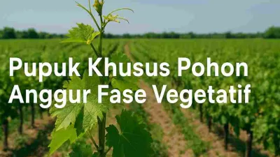 Pohon anggur pada fase vegetatif di perkebunan dengan daun hijau segar dan tulisan pupuk khusus pohon anggur fase vegetatif.