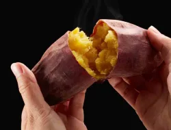 Ubi Cilembu: Kandungan Nutrisi, Manfaat & Cara Panggang