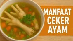 Semangkuk sup ceker ayam hangat kaya kolagen dan nutrisi untuk kesehatan kulit dan sendi