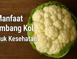 5 Jenis Manfaat Kembang Kol Untuk Kesehatan