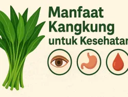 5 Macam Manfaat Kangkung Untuk Kesehatan