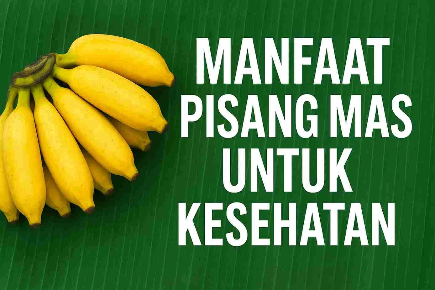 Pisang mas matang berwarna kuning cerah disajikan di atas daun pisang sebagai buah sehat kaya nutrisi.