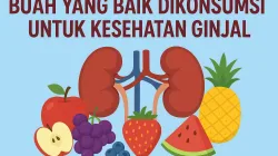 Ilustrasi buah-buahan sehat seperti apel, anggur, stroberi, semangka, nanas, dan blueberry di sekitar gambar ginjal manusia dengan tulisan “Buah yang Baik Dikonsumsi untuk Kesehatan Ginjal”.
