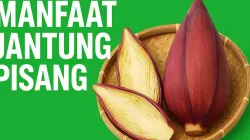 6 Jenis Manfaat Jantung Pisang Untuk Kesehatan