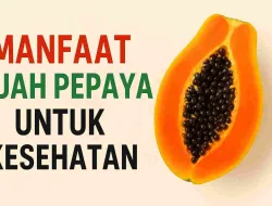 6 Manfaat Buah Pepaya Untuk Kesehatan Yang Jarang Diketahui