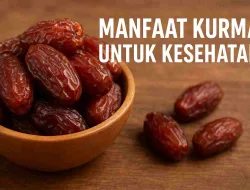 8 Manfaat Kurma Untuk Kesehatan Yang Jarang Diketahui